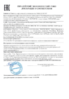 Декларация моторные масла до 13.05.2021