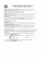 Декларация соответствия ZIC ATF 2 (по 13.11.2022г.)