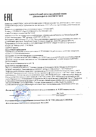 Декларация соответствия ZIC SK COMP SST 32 (SCL-32) (по 31.10.2021г.)