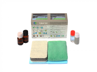 Антидождь TUNAP Windshield Aqua-Defense 501 (комплект) (ЕС 501000010P)