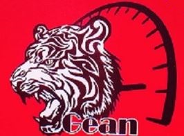 Логотип GEAN