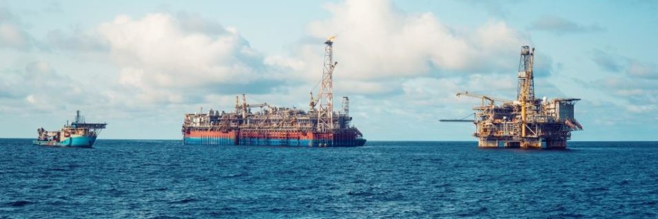 биоразлагаемое масло Liksir dana hees используется