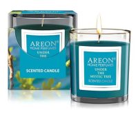 Ароматизатор для дома Areon свеча Under the Mystic Tree под таинственным деревом 120 г